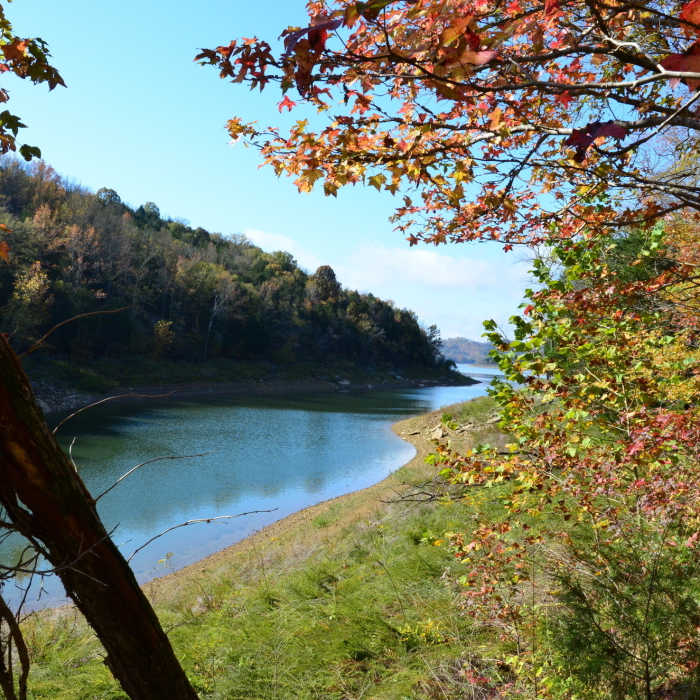 Near Edgar Evins Loop