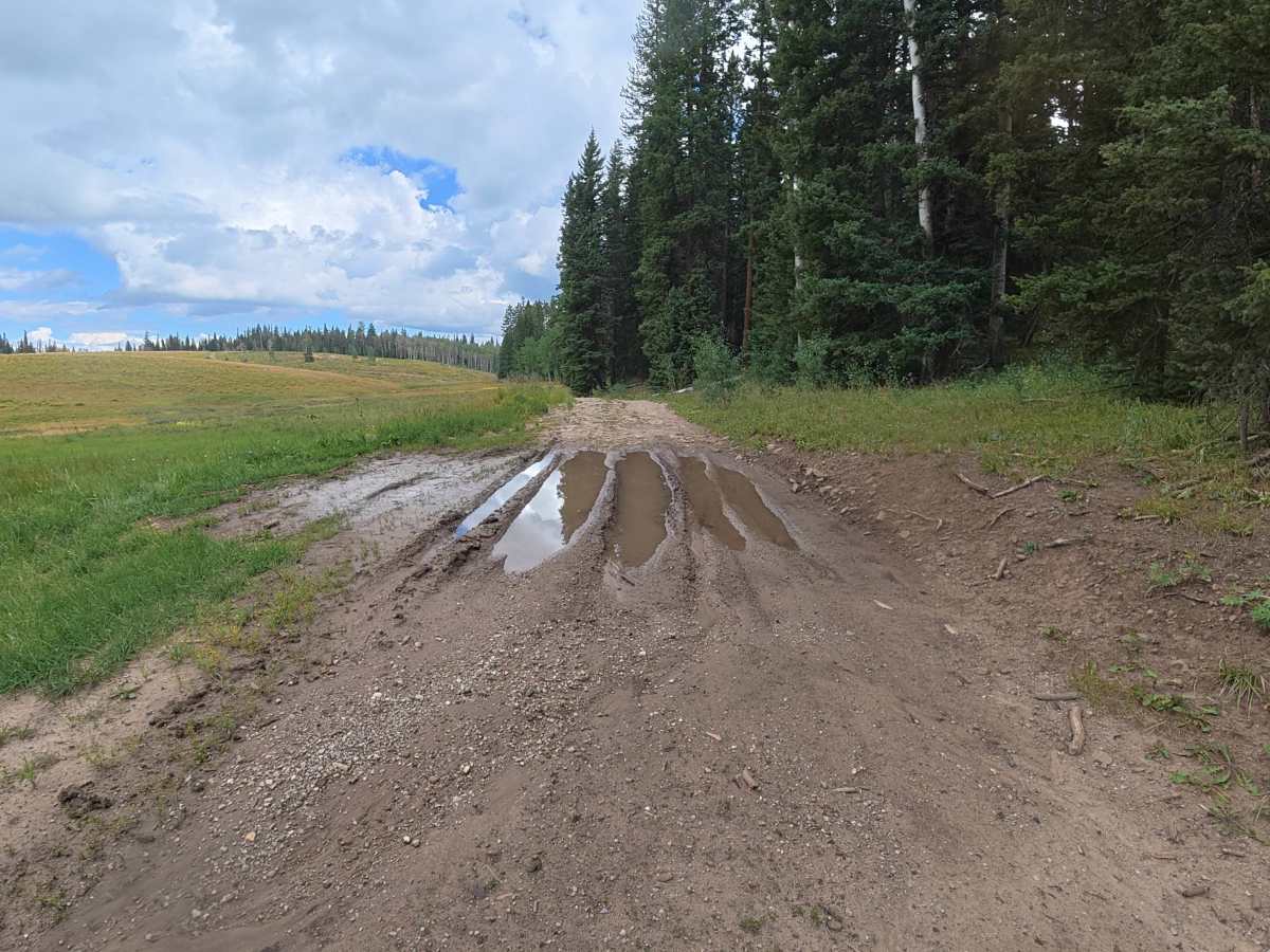 Bear Gulch Road - FS 210 photo 5