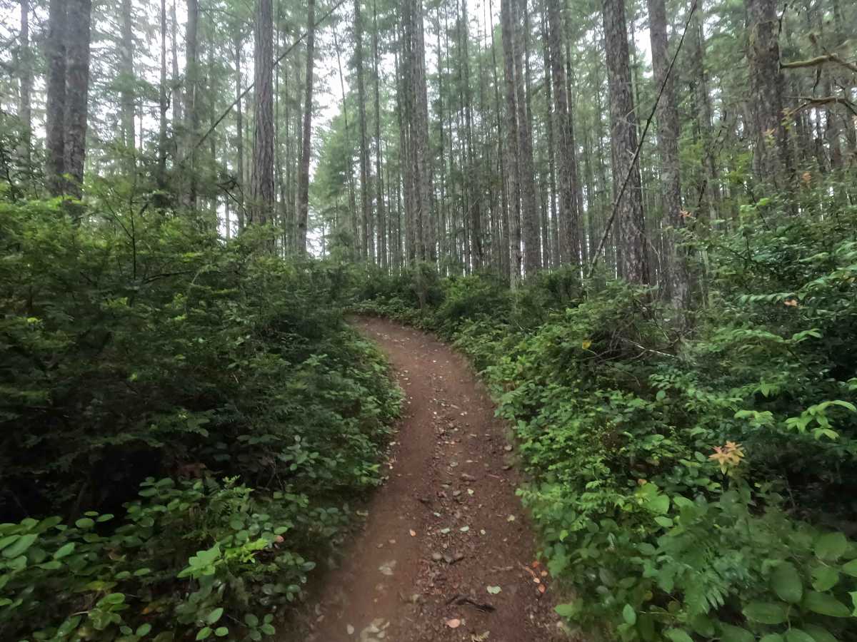Howell Lake Loop photo 4