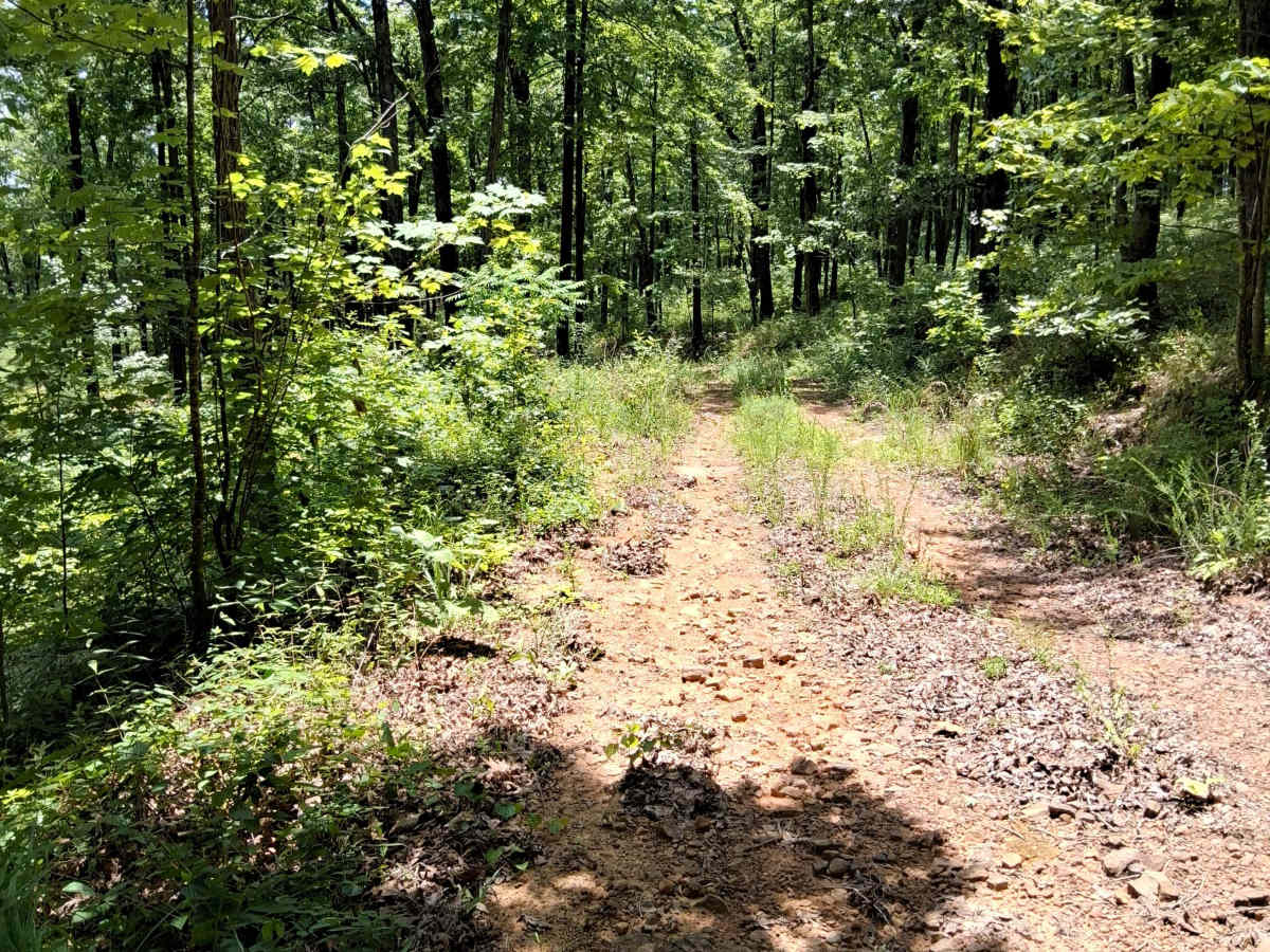 Stefoder Road photo 4