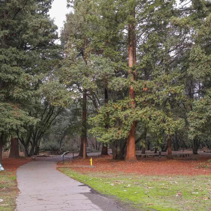 Near Lodi Lake Nature Loop