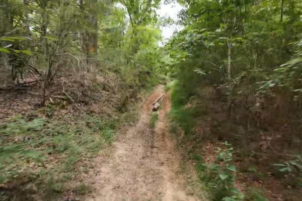 Wheeler Woods Trail