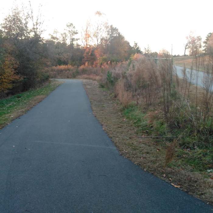 Near Walnut Creek Trail