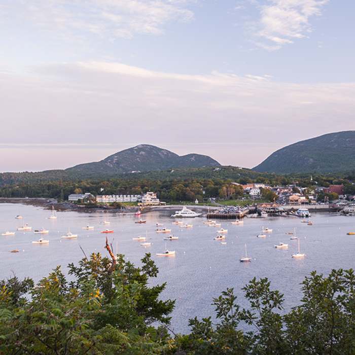 Near Bar Island Trail