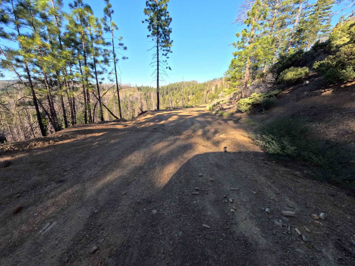 Snow Basin Creek - FS 22N10 photo 5