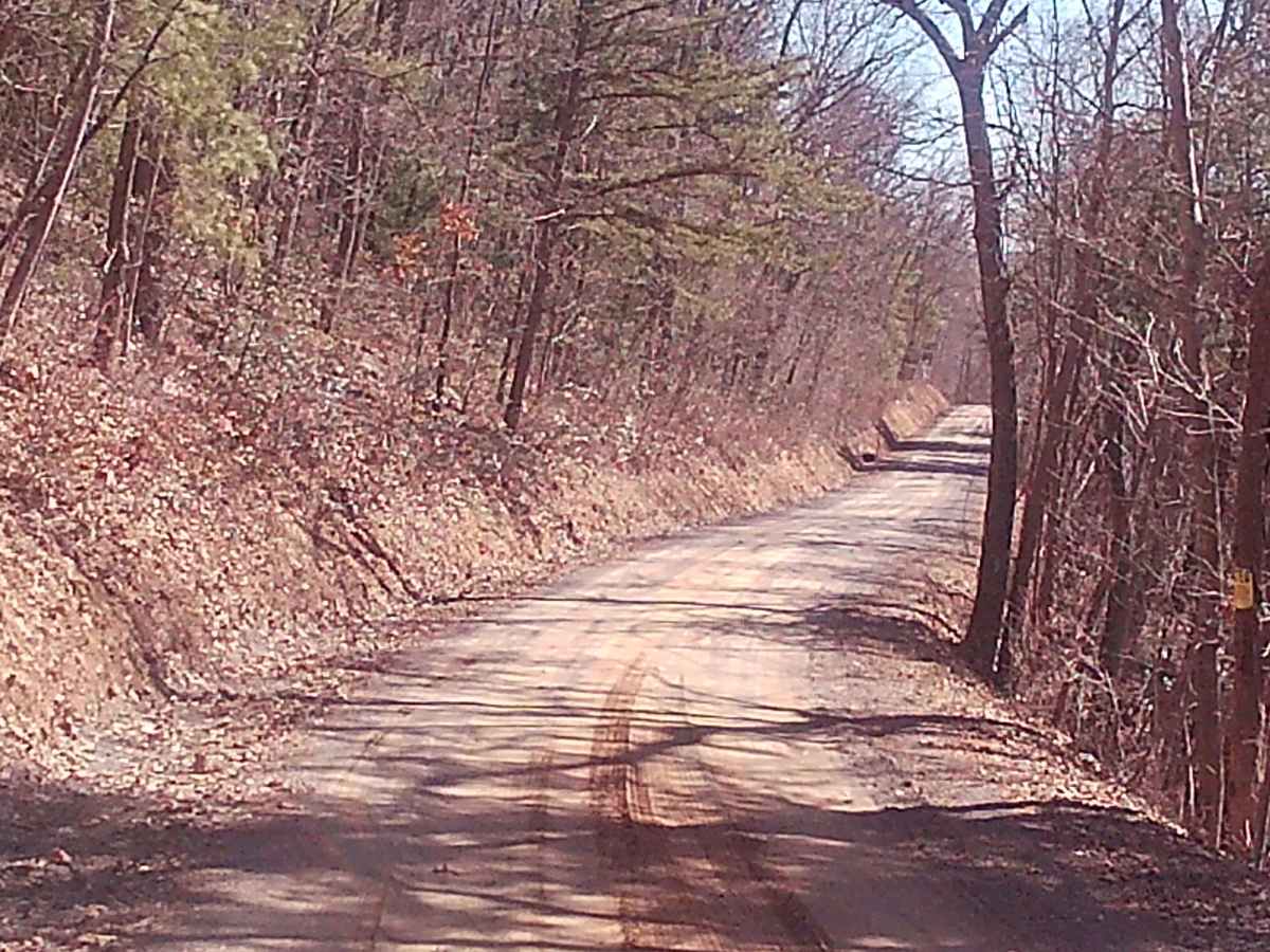 Fox Road photo 5