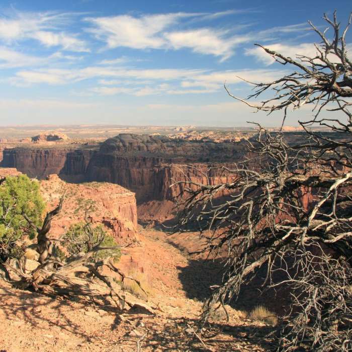 Near Aztec Butte Trail