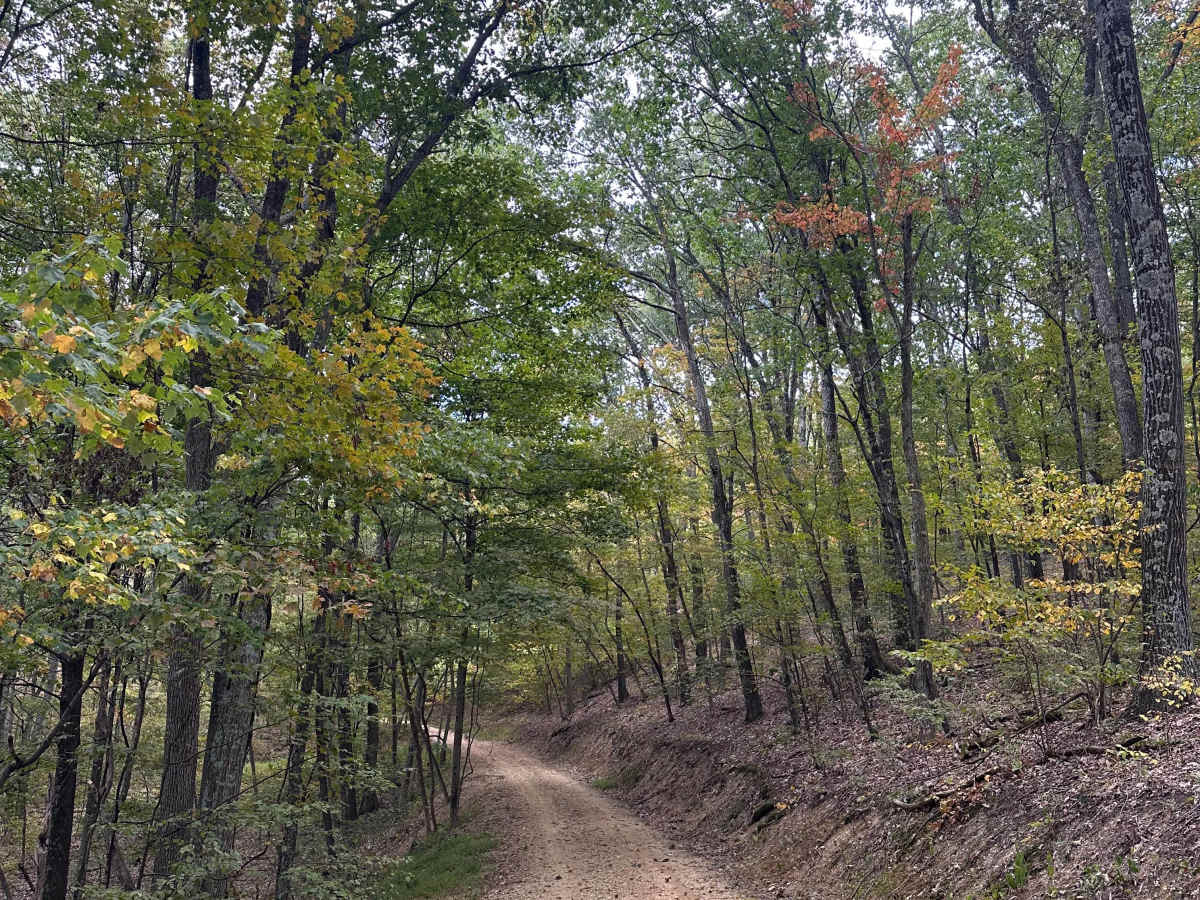 Big Mountain Trail photo 2