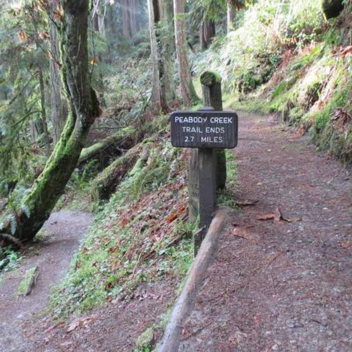 Near Peabody Creek Loop