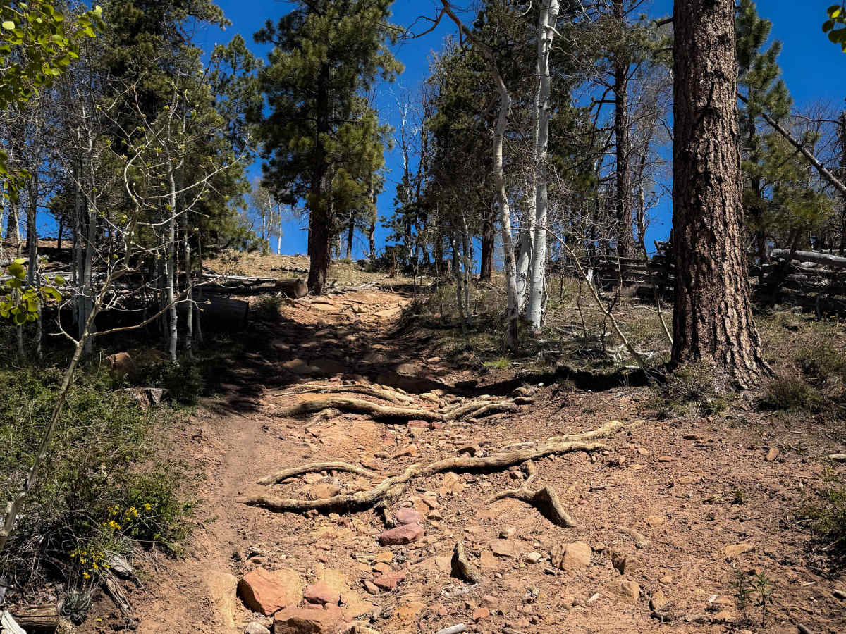 Upper 2 Mile Loop   trail photo