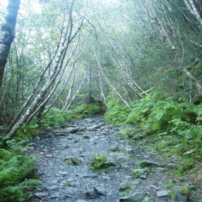 Near Tonsina Beach Hike