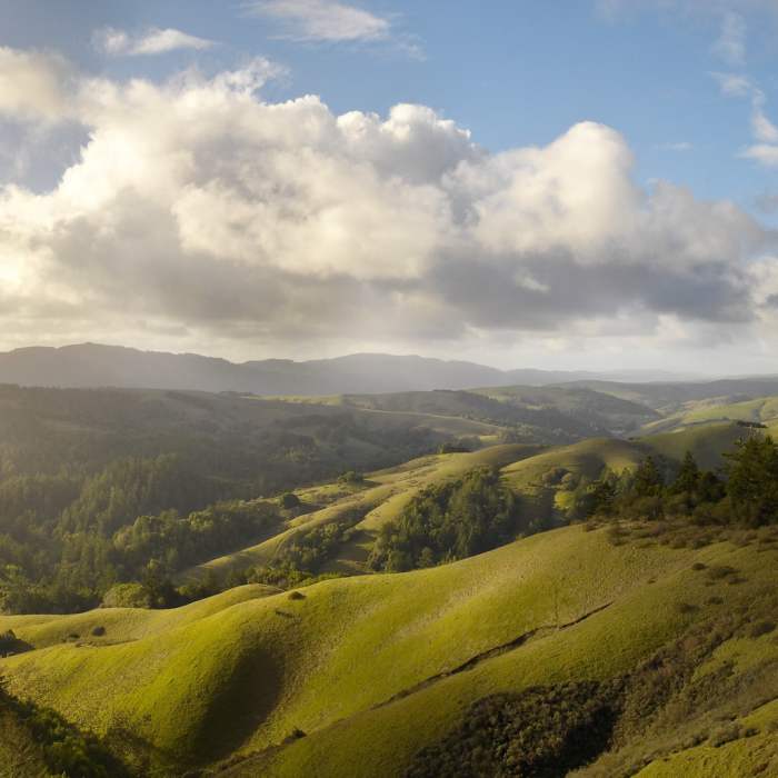 Near Barnabe Peak Out and Back