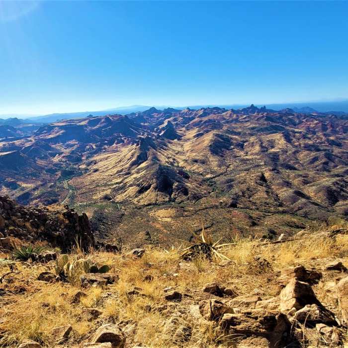 Near Picket Post Mountain Trail