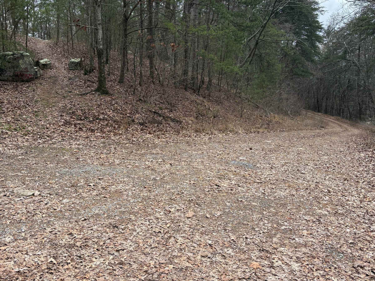 FS 231 trail photo