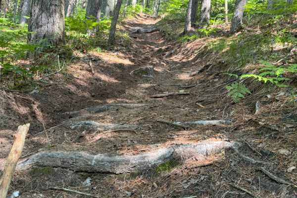 Moss Lake Motorcycle Trail