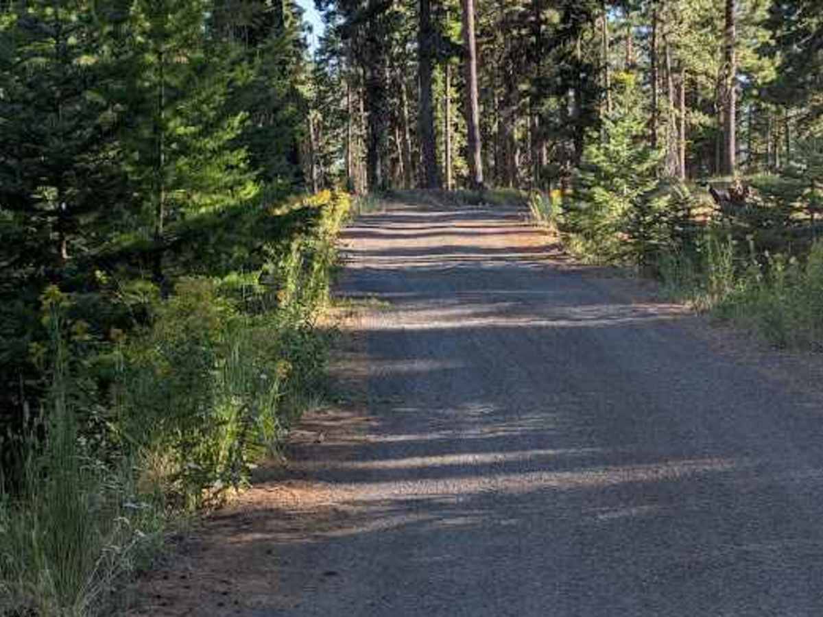 FS 3500-114 trail photo