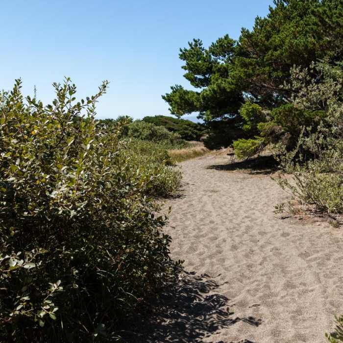 Near Floras Lake Trail Hike