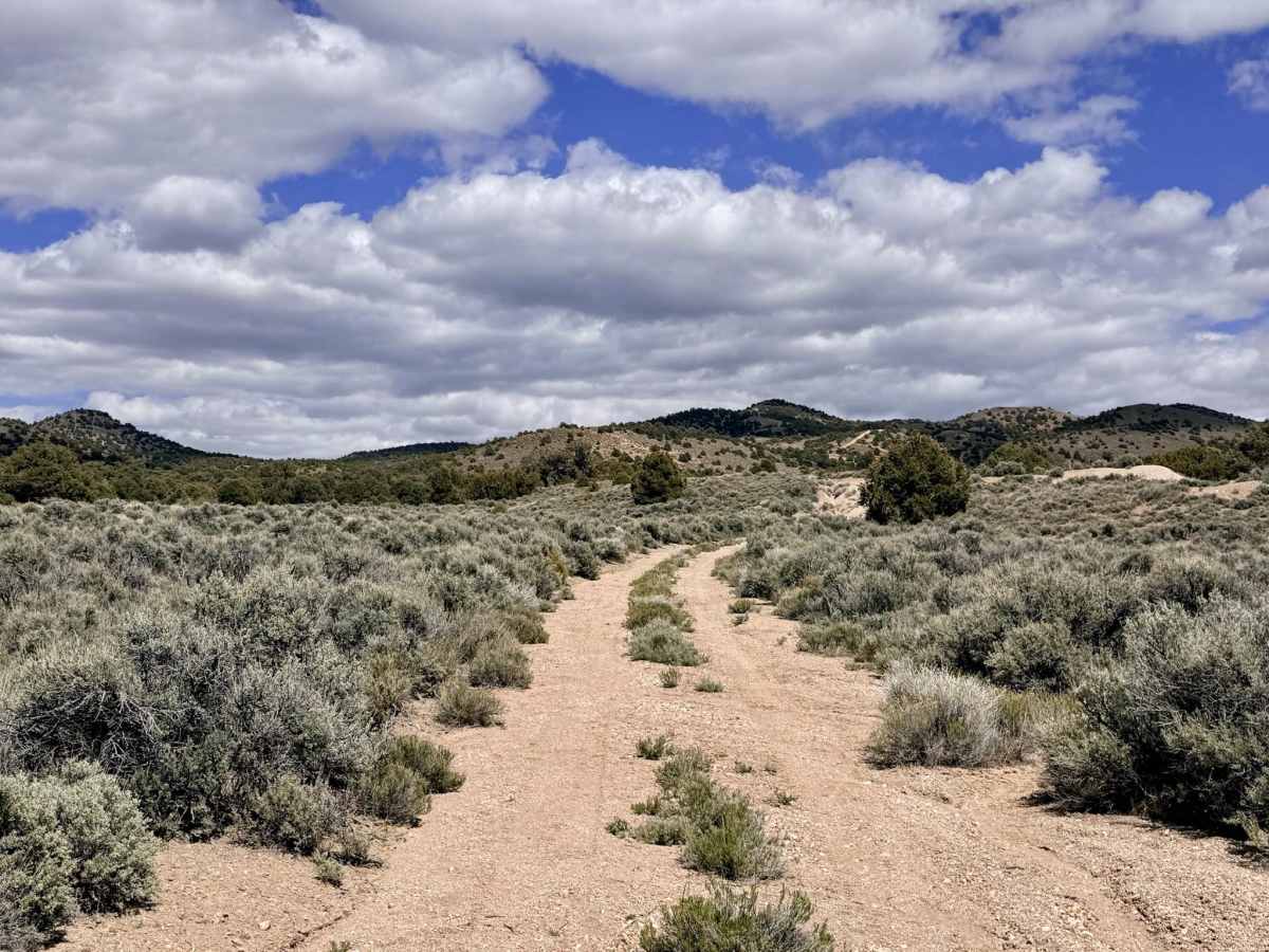 Willow Springs Bypass - FS 44429 photo 5