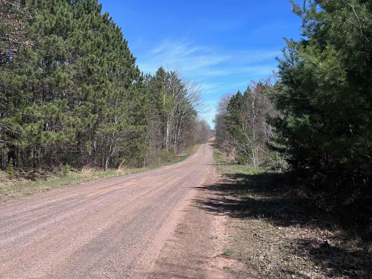 Tamarack River Forest Road photo 2