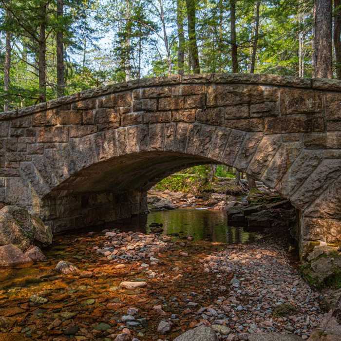 Near Hadlock + Waterfall + Hemlock Bridges Hike