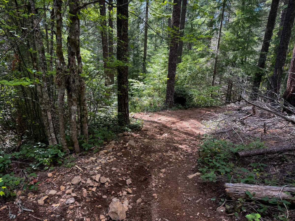 107 (South)  photo 5