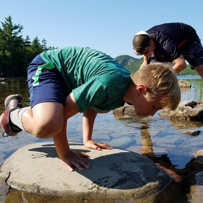 Jordan pond crane pose after a famous “popover”. Near Jordan Pond to Eagle Lake Loop