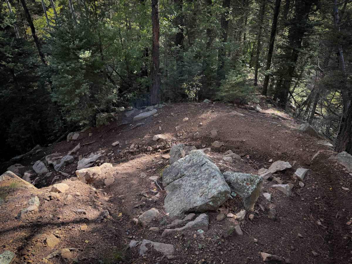 Gallegos Trail - FS 4  photo 3