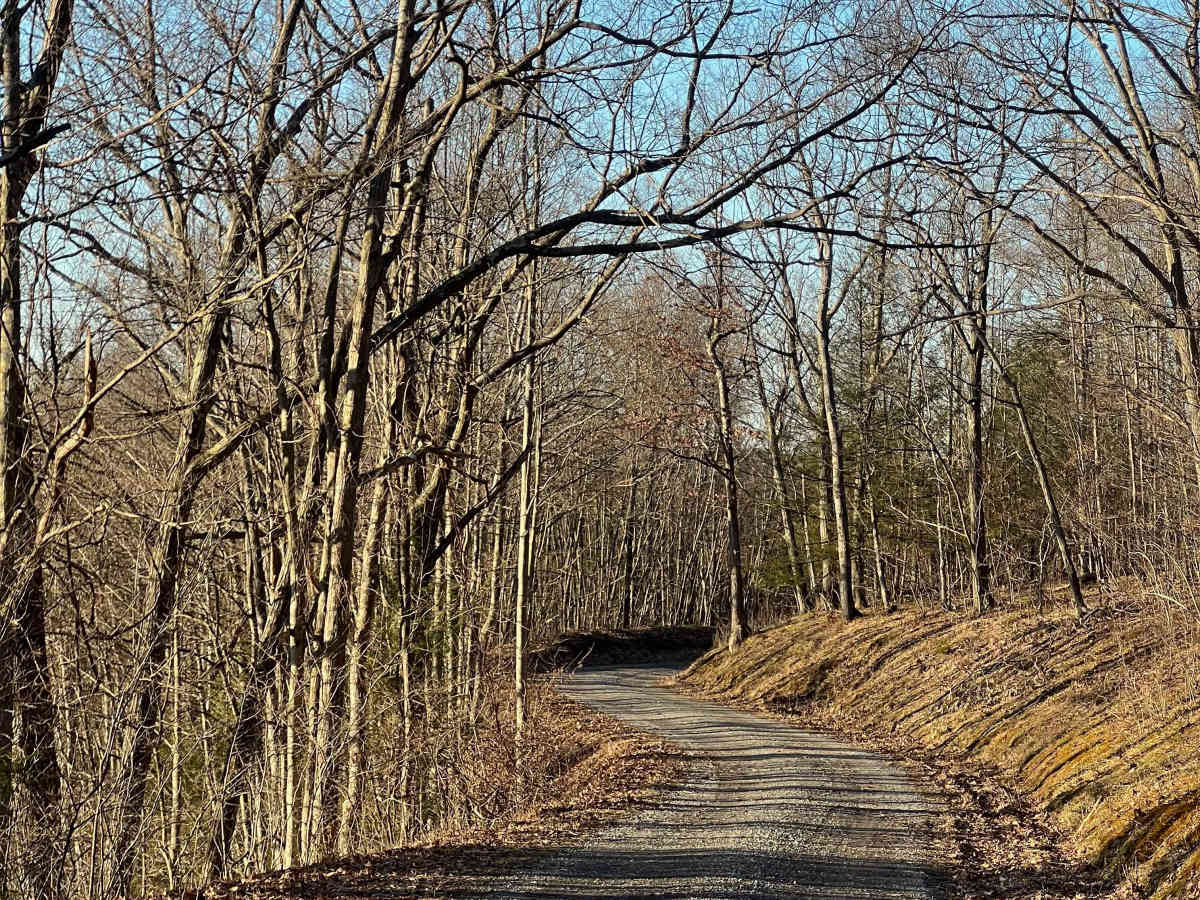 Moose Grade Road photo 4