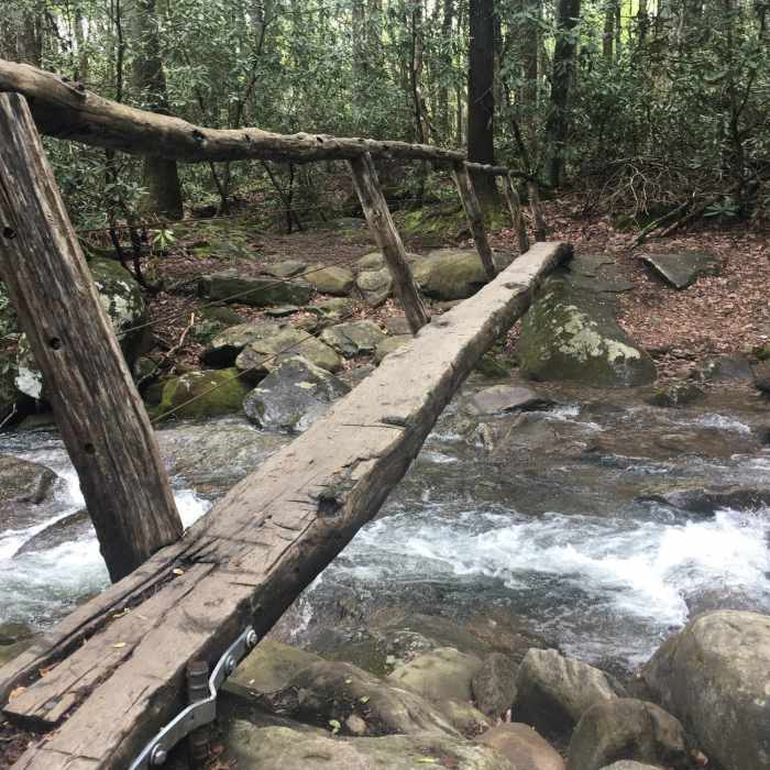 Bridge crossing on the way to Hen Wallow Falls. Near Hen Wallow Falls