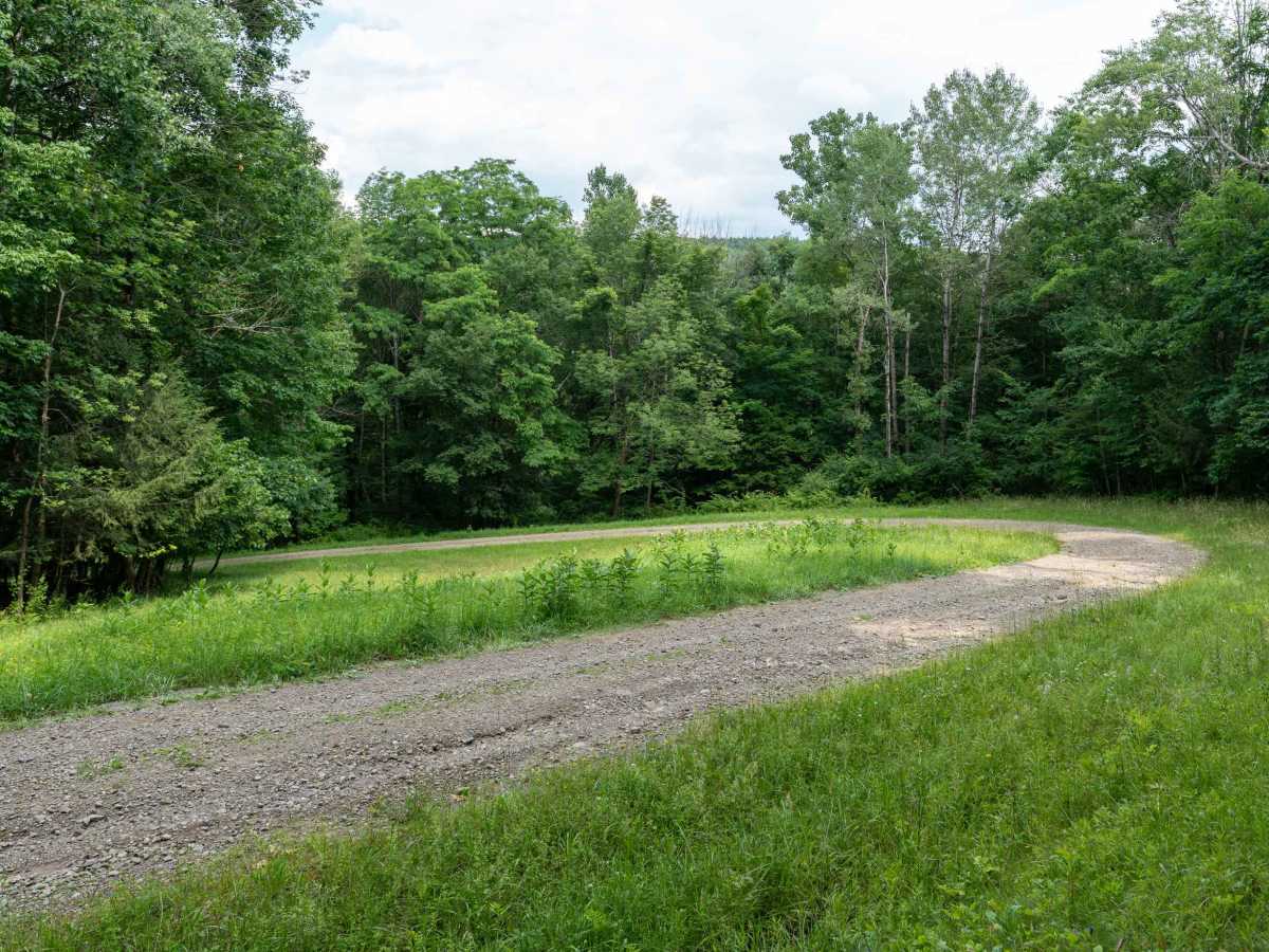 Left Fork Truck Trail trail photo