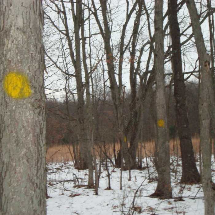 Go ahead and snowshoe. The trail is marked with yellow blazes on the trees. Near Wakazoo Loop
