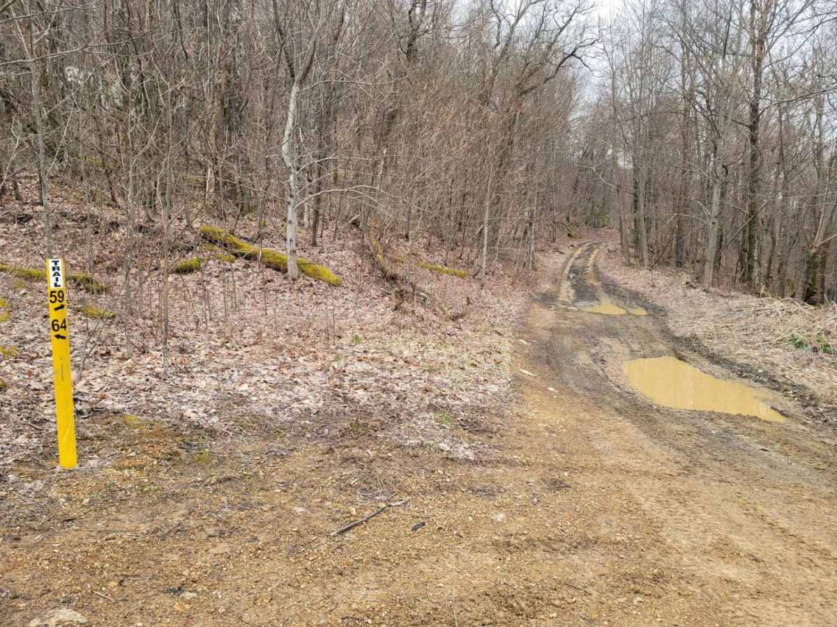 59 - Grassy Gap photo 2