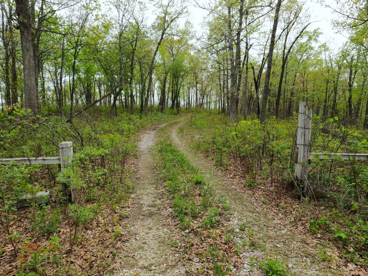 North James - FS 2743 photo 3