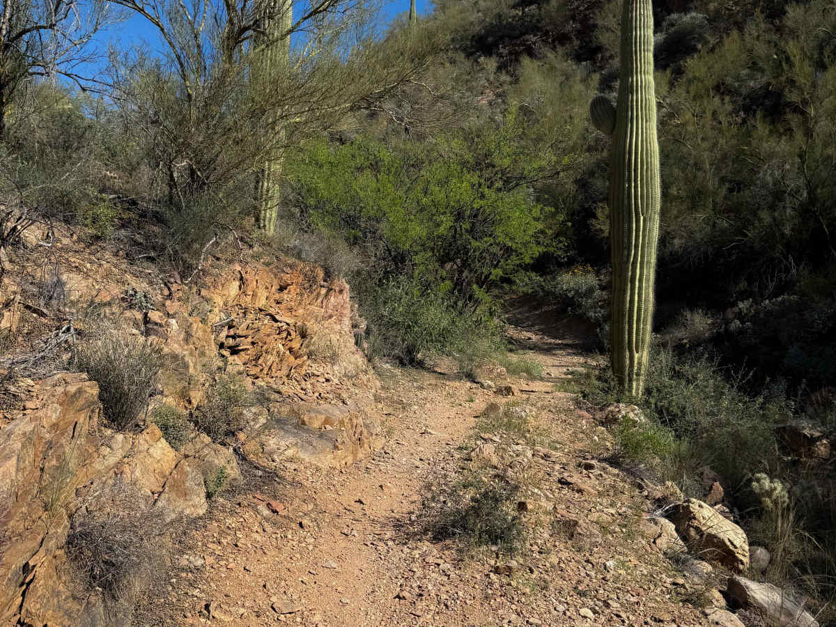 Black Canyon Trail  photo 5