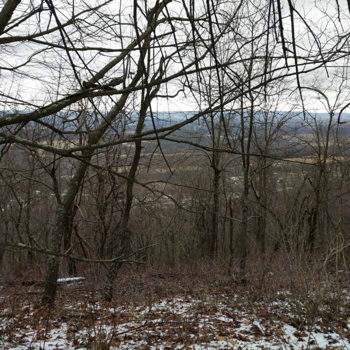 Near Everett MST Loop