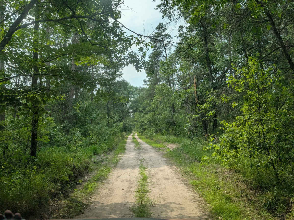FS 3922 photo 6