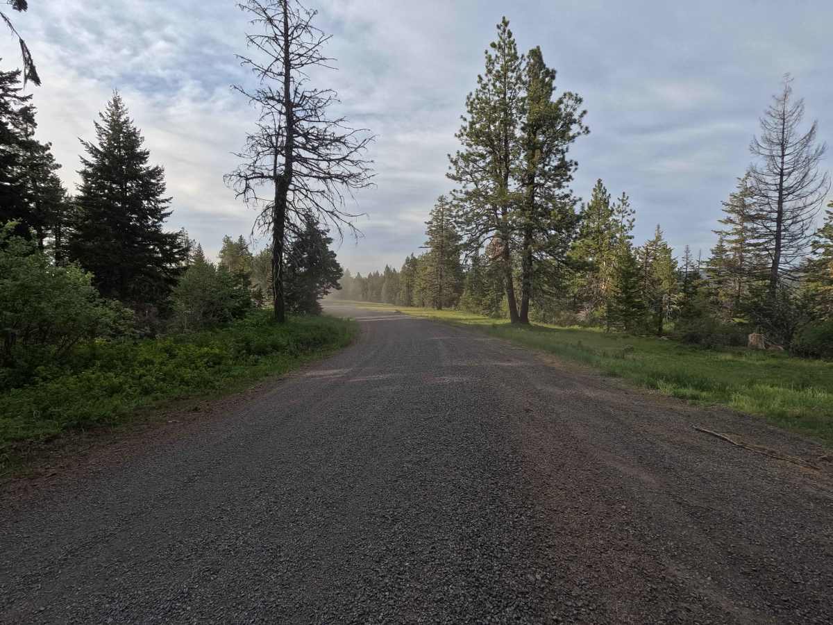 Skyline Road - FS 31 photo 4