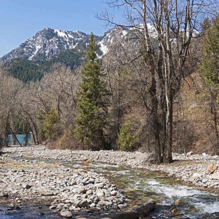 Near Tibble Fork Loop