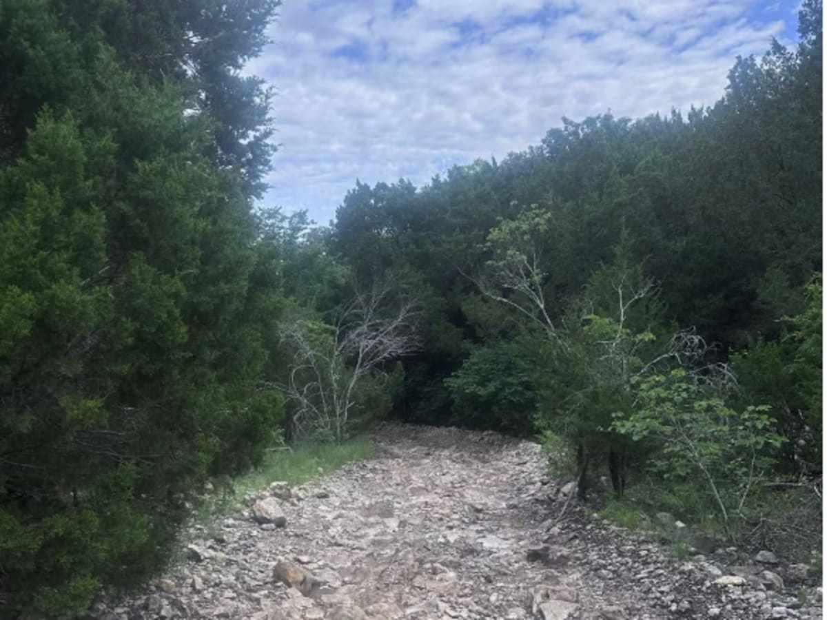 Powerline 1st Segment photo 6