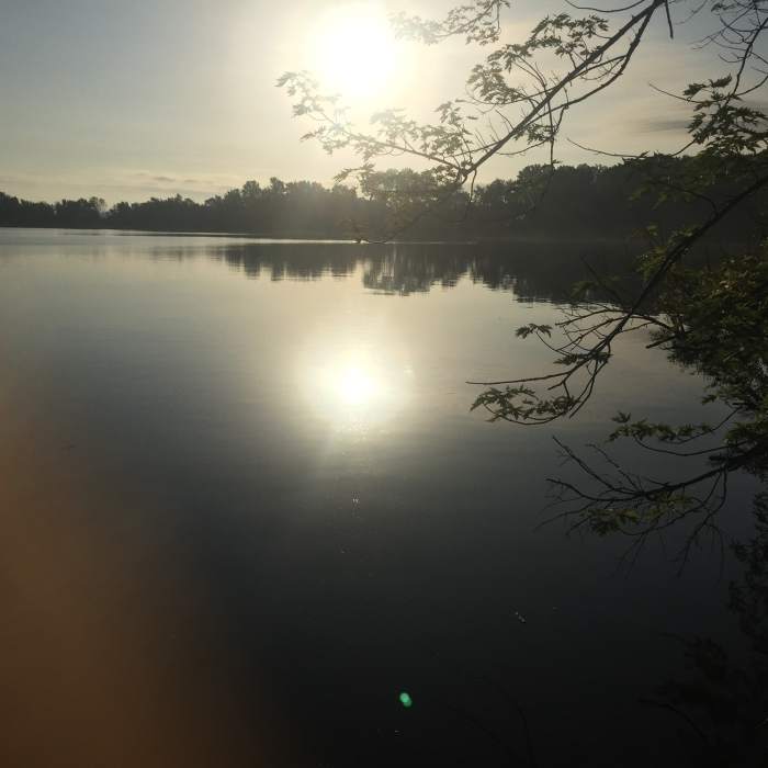 Near Sakatah Lake State Park Loop
