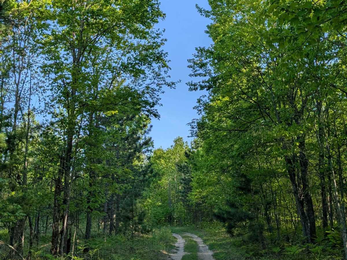 Seven Point Trail trail photo