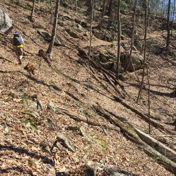 It's a relatively easy hike to campsite 95, with a long winding trail through the forest. Near Wolf Ridge Trail