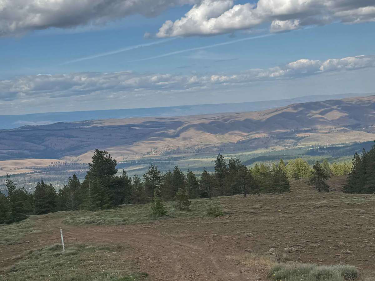 Lookout Road photo 6