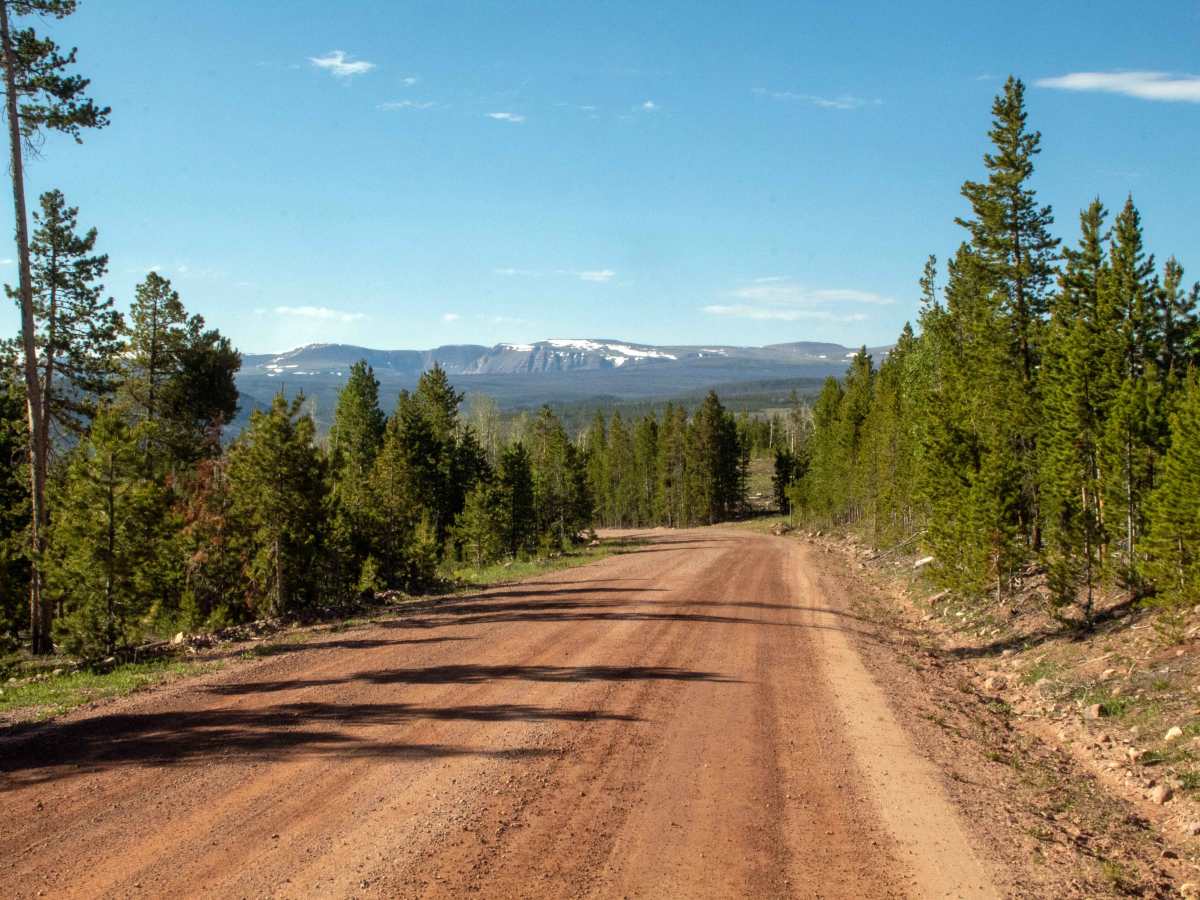 Red Mountain - FS 80017 photo 6