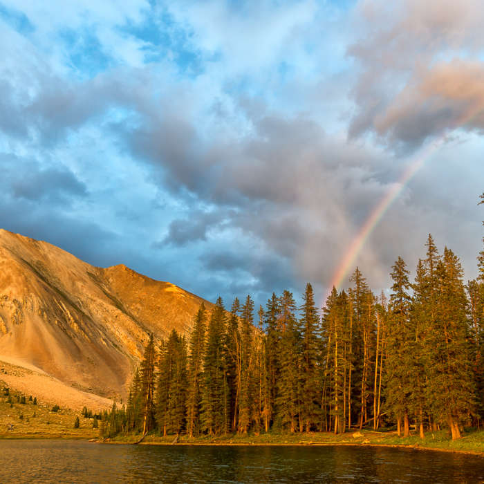 Chamberlain Lake rainbow. Near Livingston Mill-Castle Divide