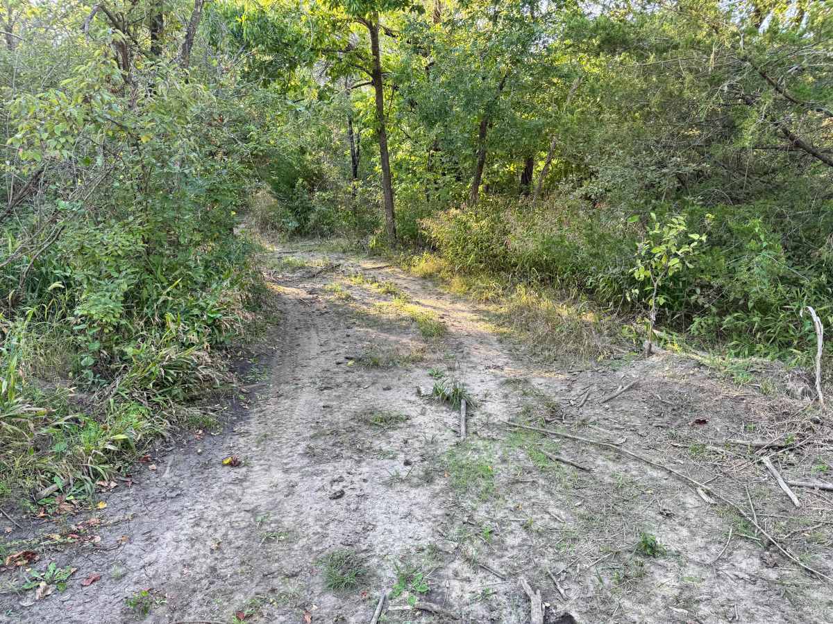 Shade Tree Lane photo 5