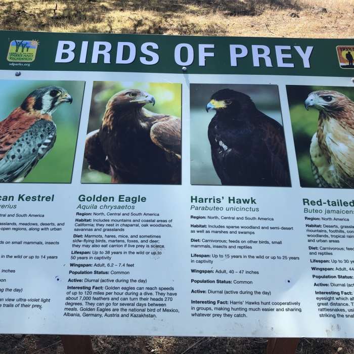 Near Santa Ysabel County Preserve East