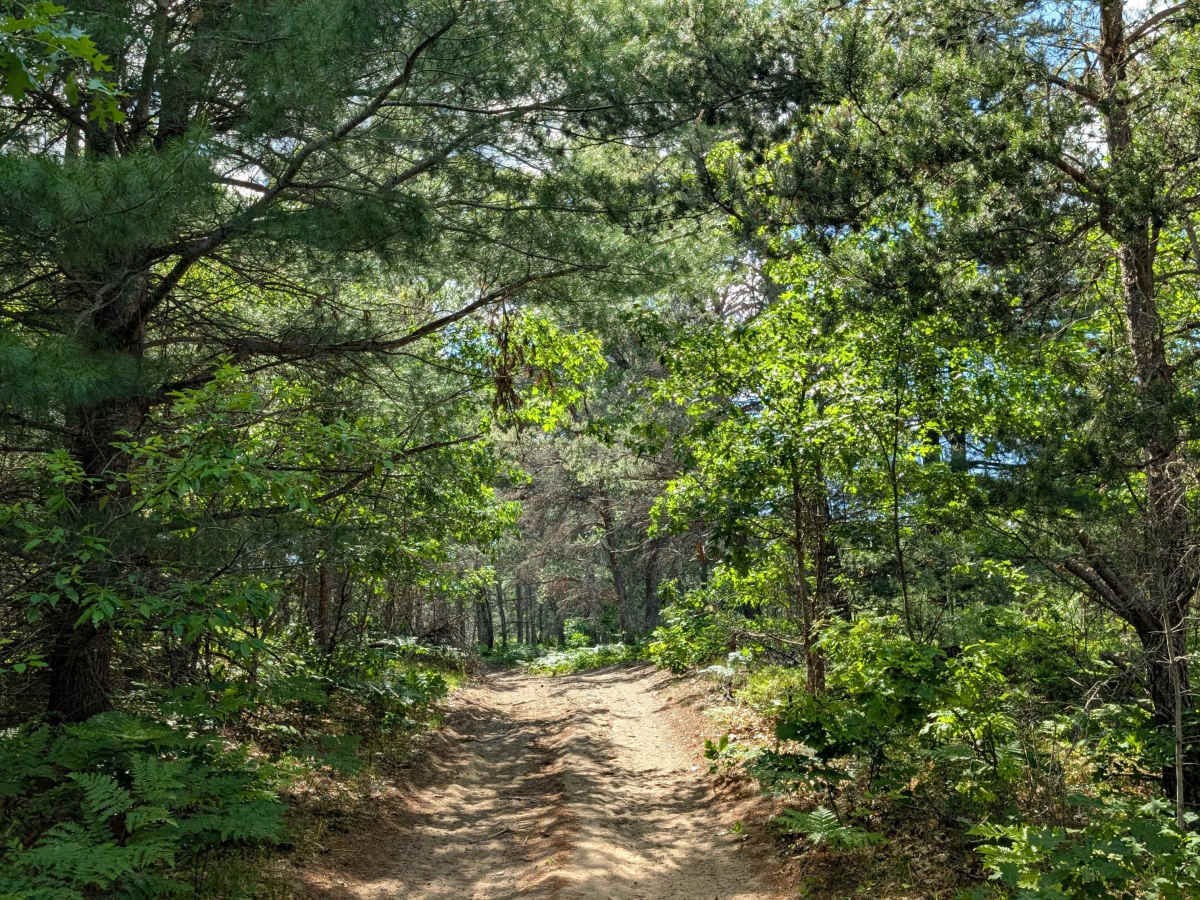 Arrowhead Trail photo 5