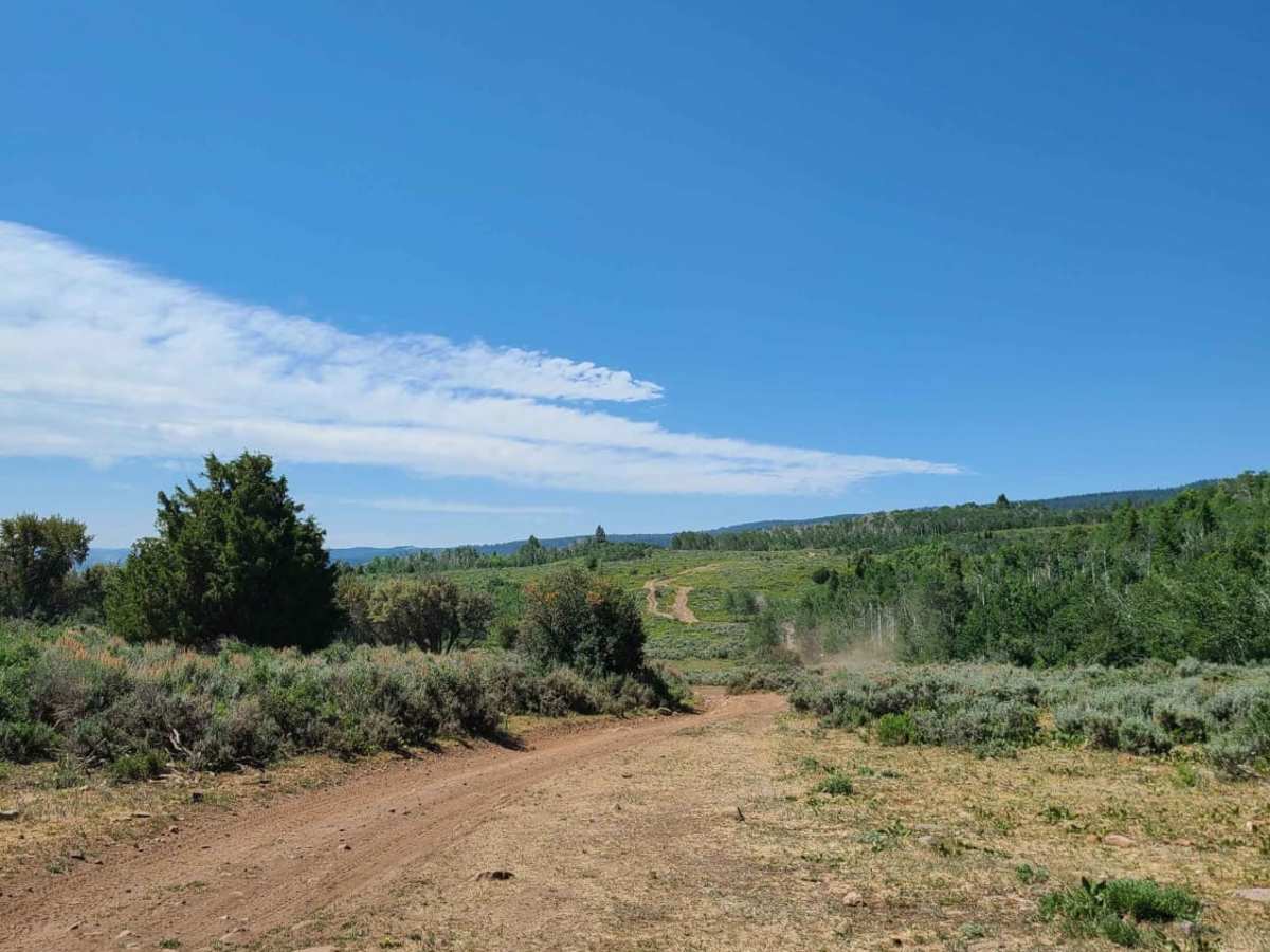 Hardware Ranch to Bear Lake photo 2