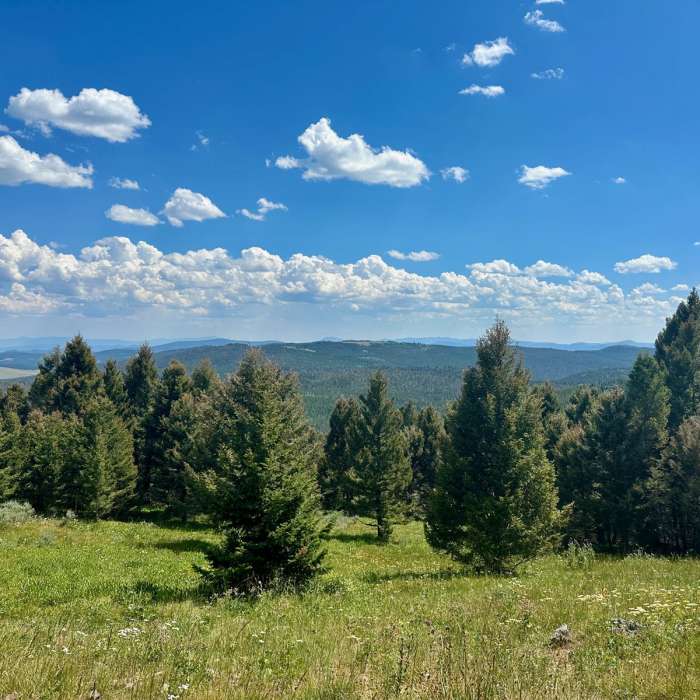 Near Continental Divide Trail: Montana-Idaho Section 20